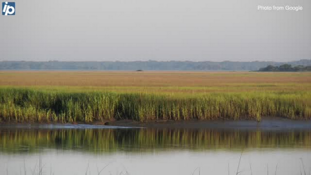 Food, fashion and laying around: Five Lowcountry-themed Father’s Day gift ideas