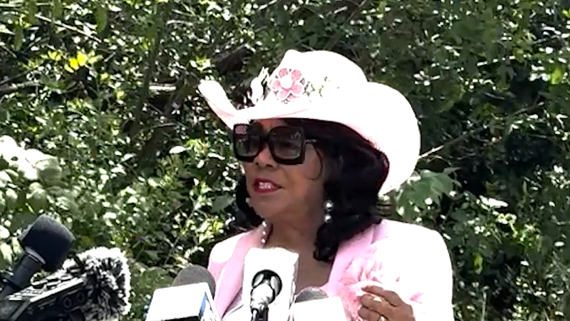 Rep. Frederica Wilson comments after visit to Krome Detention Center