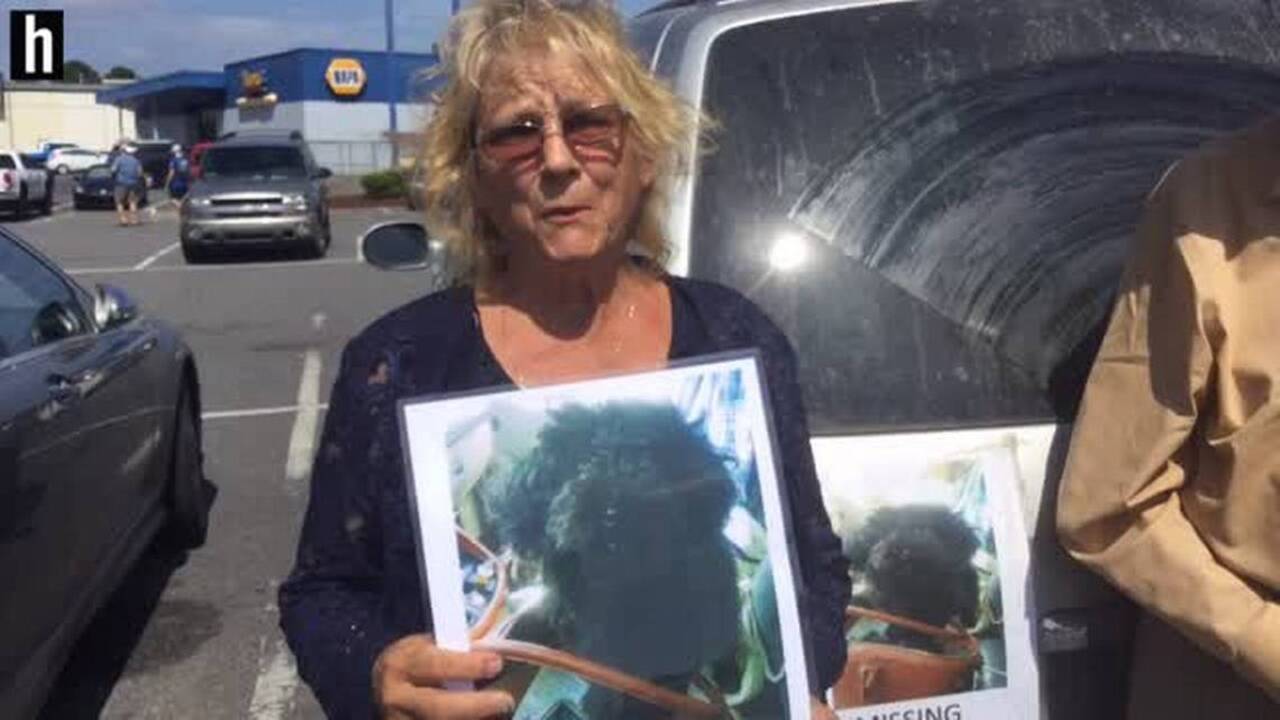 Pastor 'standing on faith' as monthlong Rock Hill search continues for lost dog Buttons