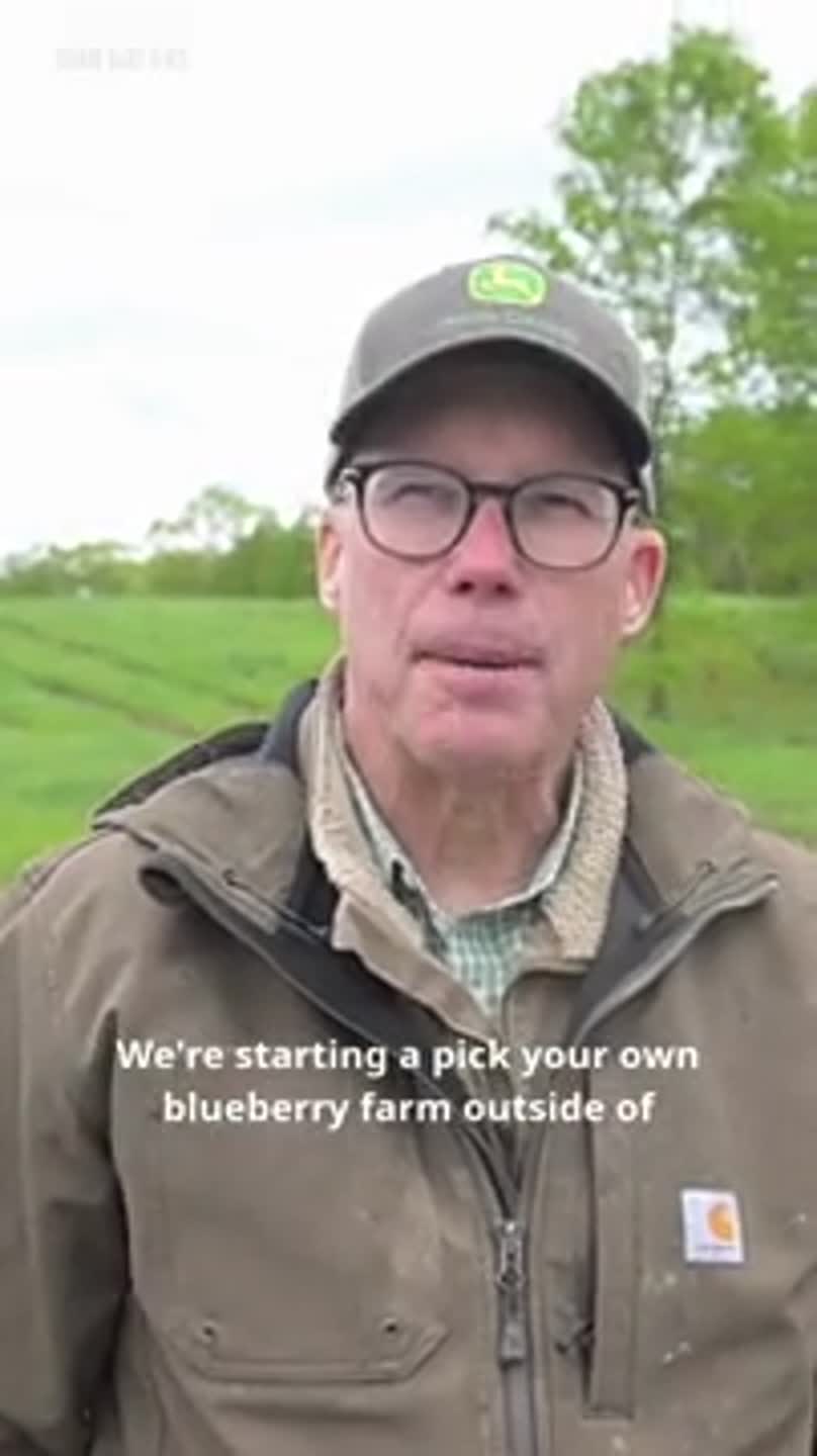 A pick-your-own blueberry farm is growing in Philipsburg