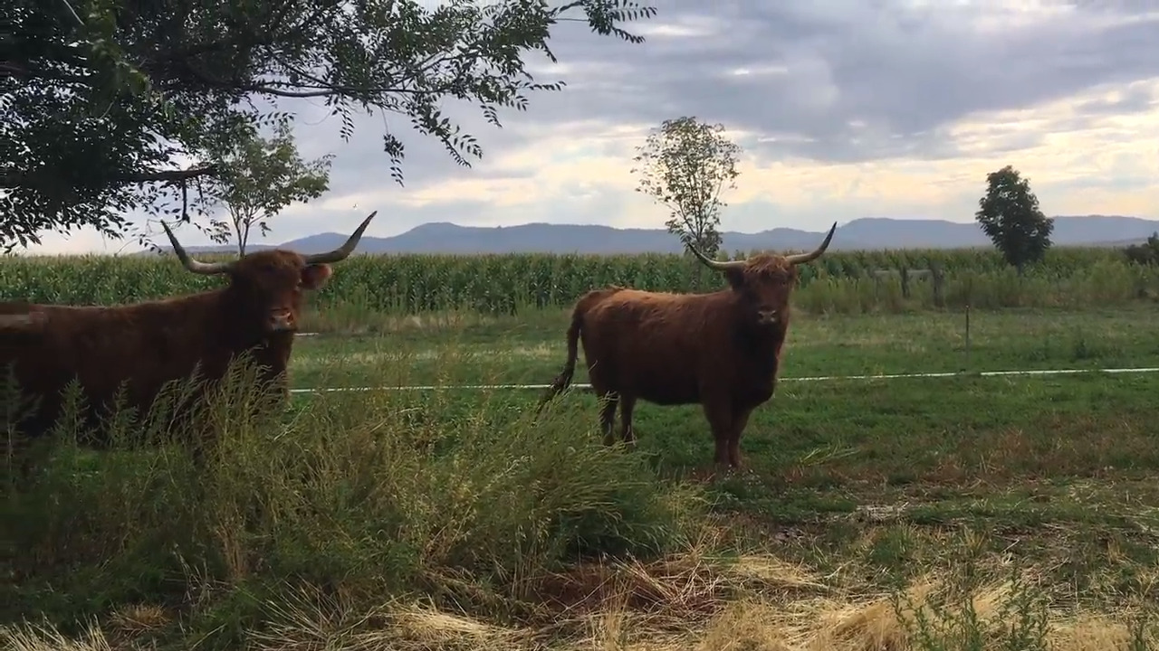 The Eagle Foothills could welcome 20,000 homes by 2040. Where will they get water?