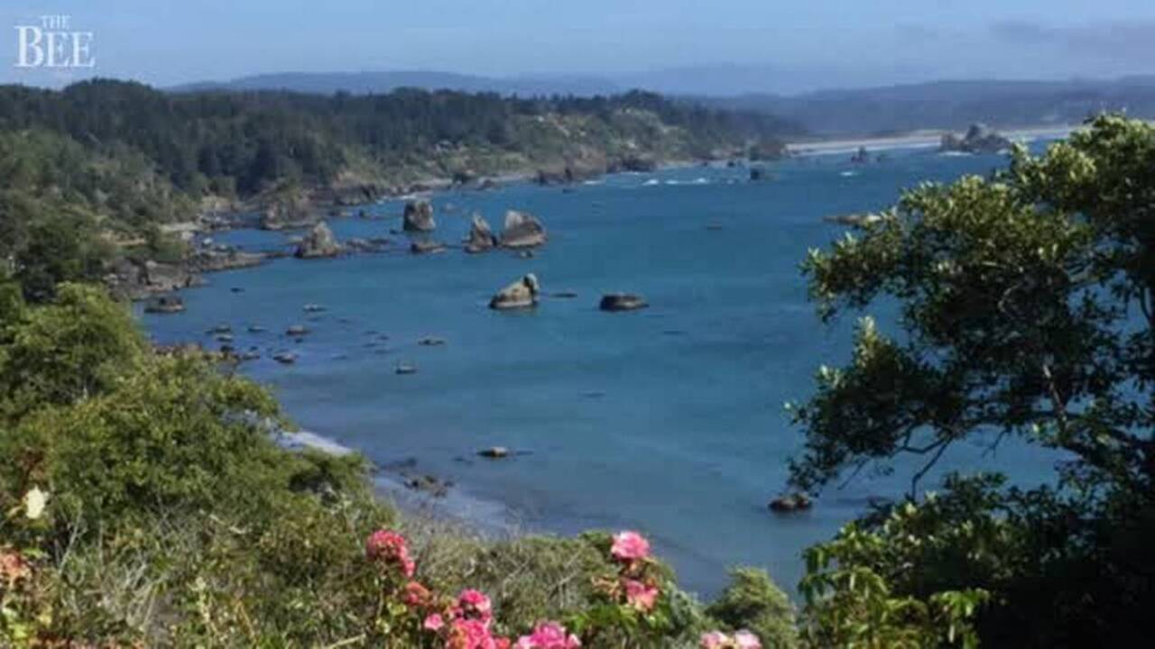 See the 12 highest-rated California state parks with family camping