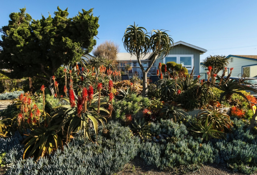A walk in Stacy Peralta's garden in Cayucos