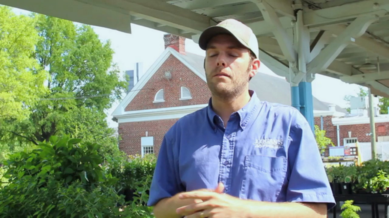 Joshua Logan talks about demographic changes impacting the gardening business