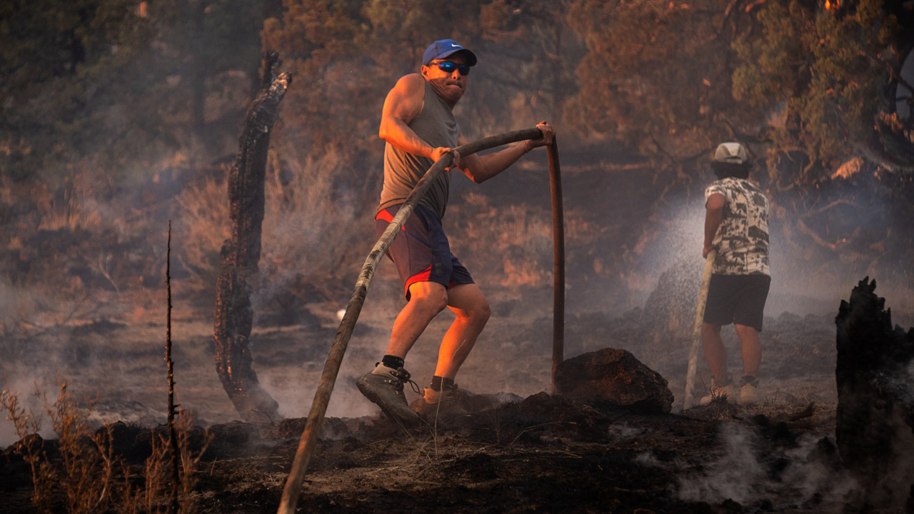 See pot farms threatened by Lava Fire burning near the town of Weed