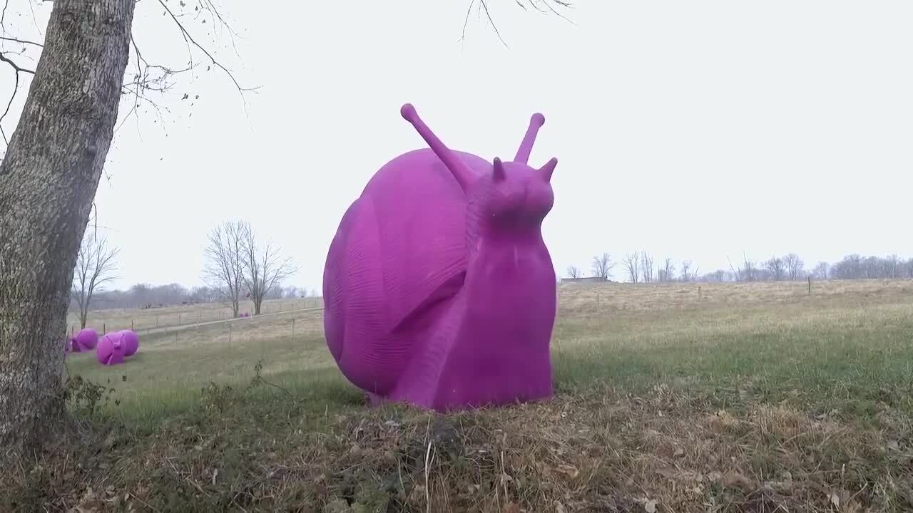 Oversized animal kingdom at hotel owners' farm includes snails, rabbits