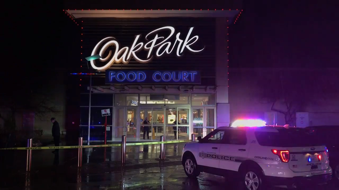 Police investigating reports of shots fired outside Oak Park Mall ...