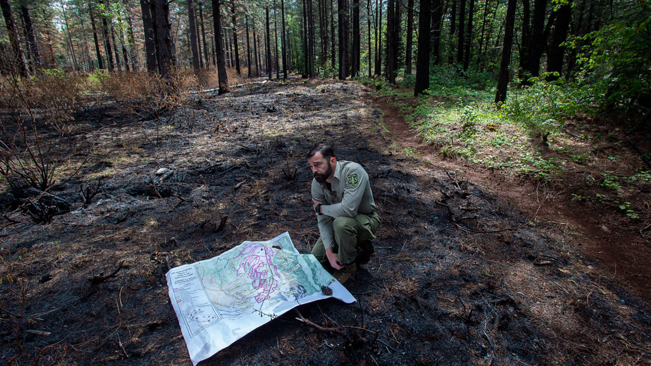 How the Tahoe National Forest is using fire to fight fire