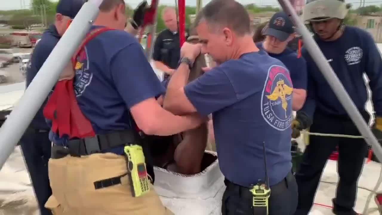 Firefighters rescue suspected burglar trapped in chimney