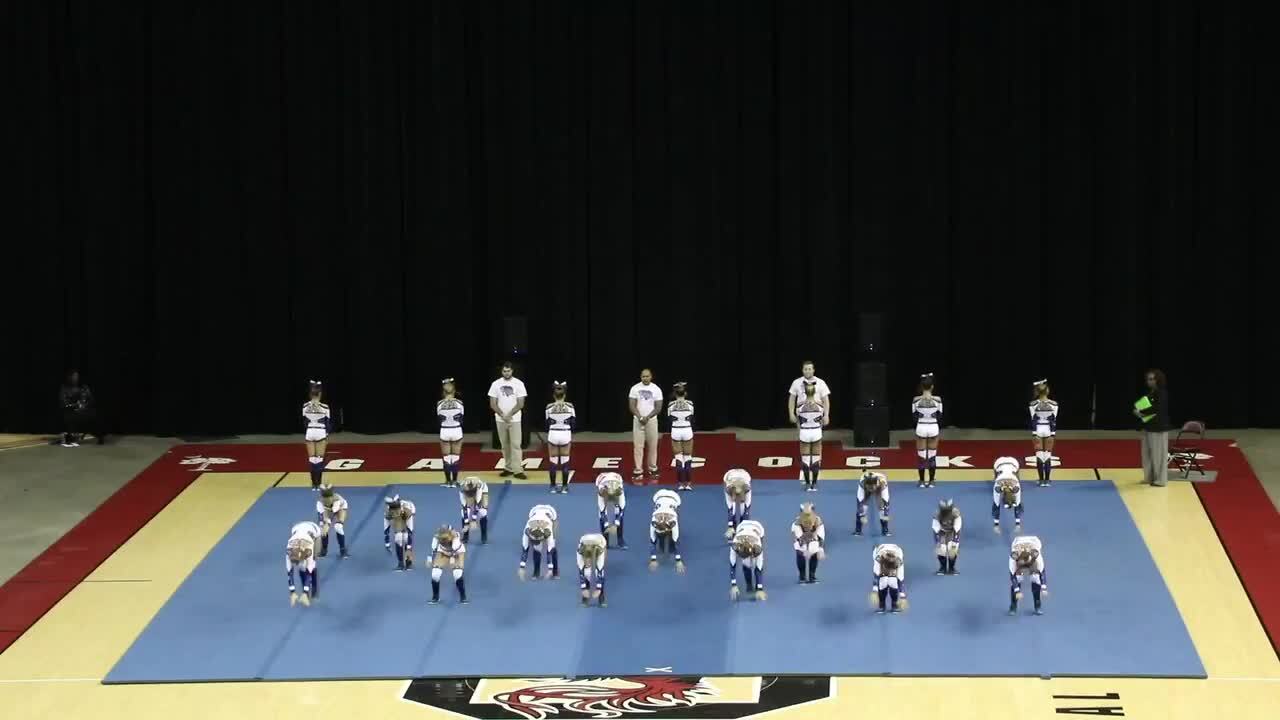 Lexington High competes in the 5-A State Cheerleading championships.