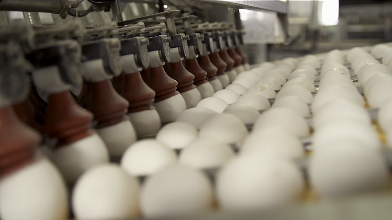 Five things we know about the recall of 206 million NC-produced eggs