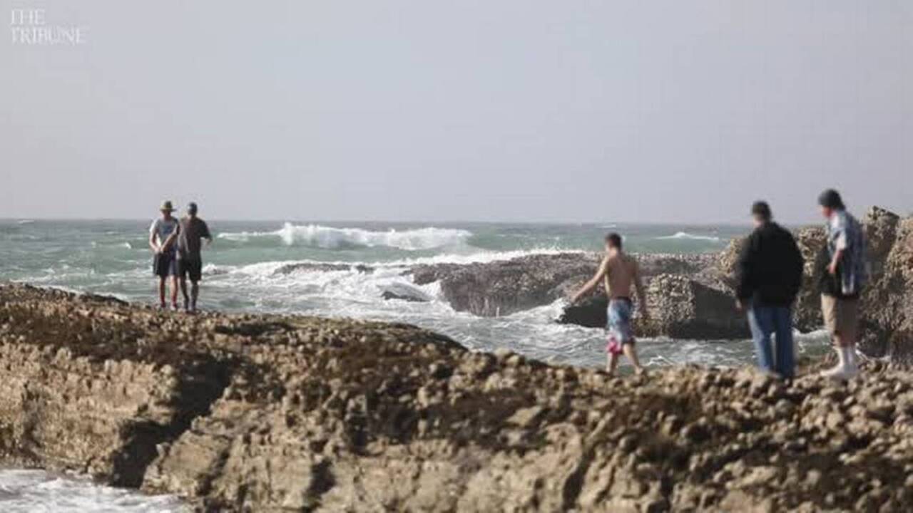 Spooner’s Cove at Montaña de Oro State Park