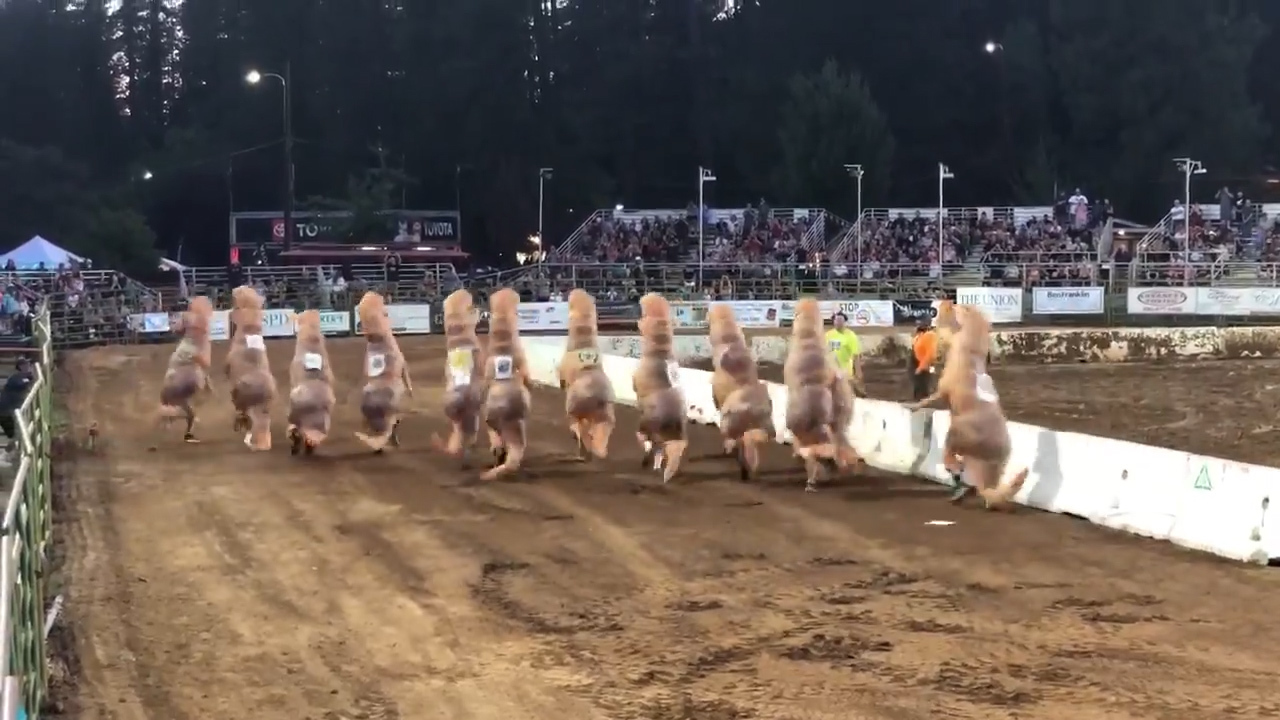 First responders compete in T. rex race