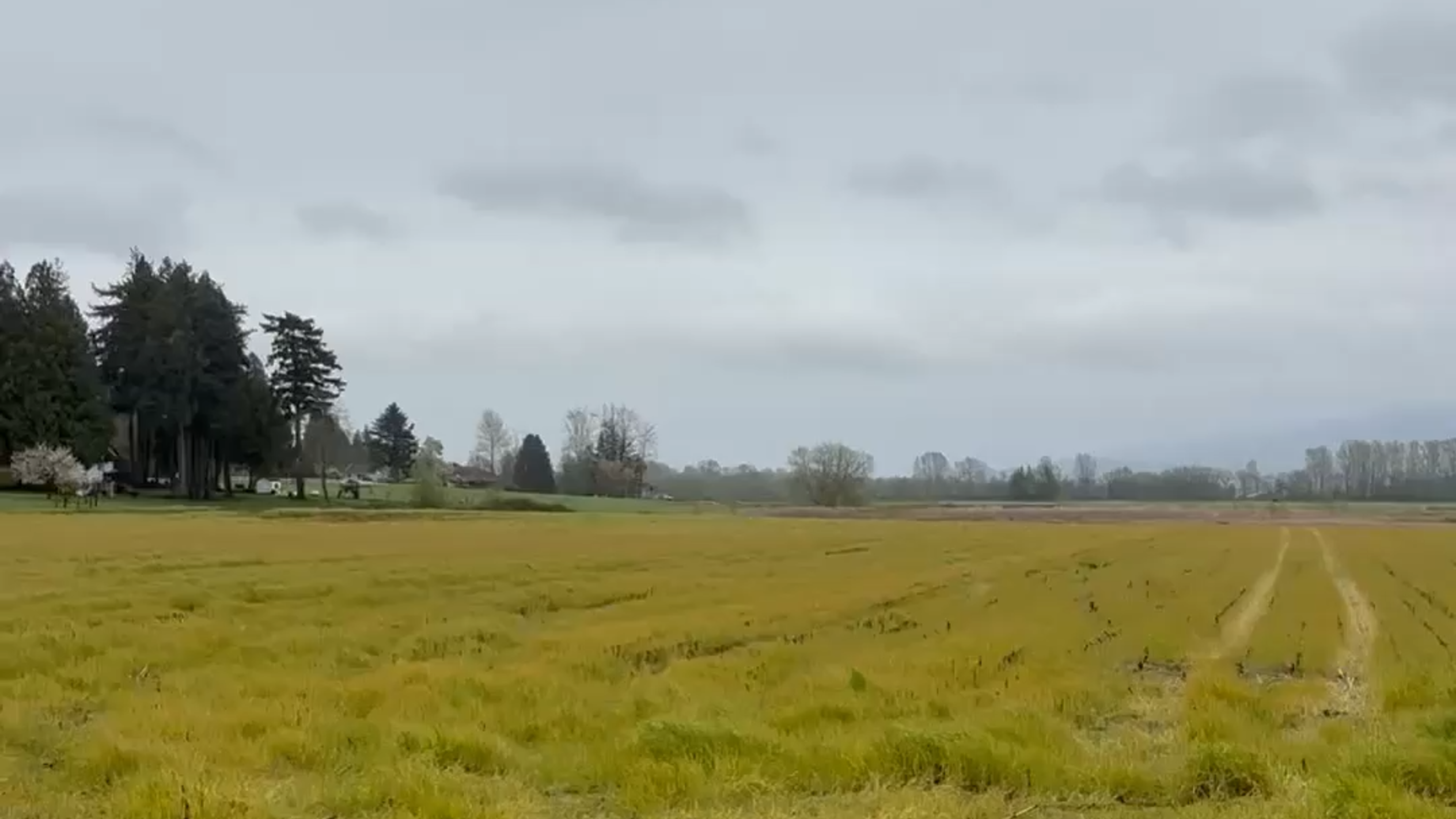 Whatcom Farmers are worried about ICE arrests