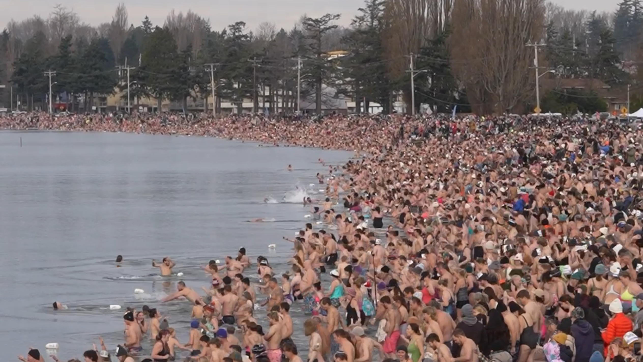Watch thousands in Whatcom County attempt to break the polar bear dip world record