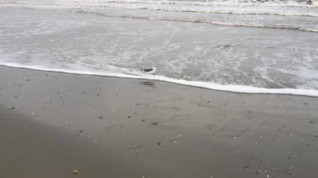 Waves in South Carolina as Hurricane Matthew approaches
