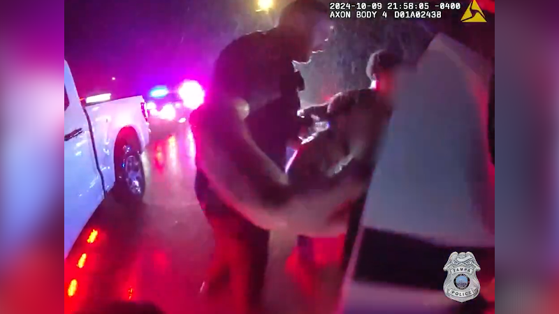 See what Hurricane Milton did to Florida. Video of the arriving storm and the damage