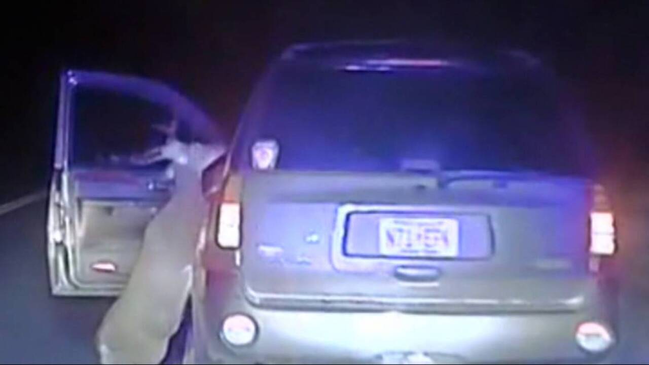 Driver hits deer, deer attacks driver, revenge caught on video