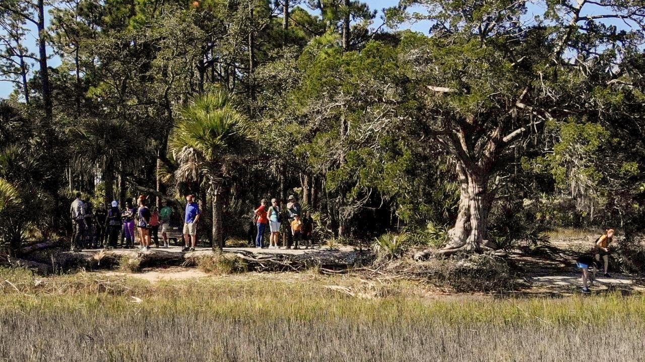 Drone video from salt marshes shows visitors at Widgeon Point Preserve