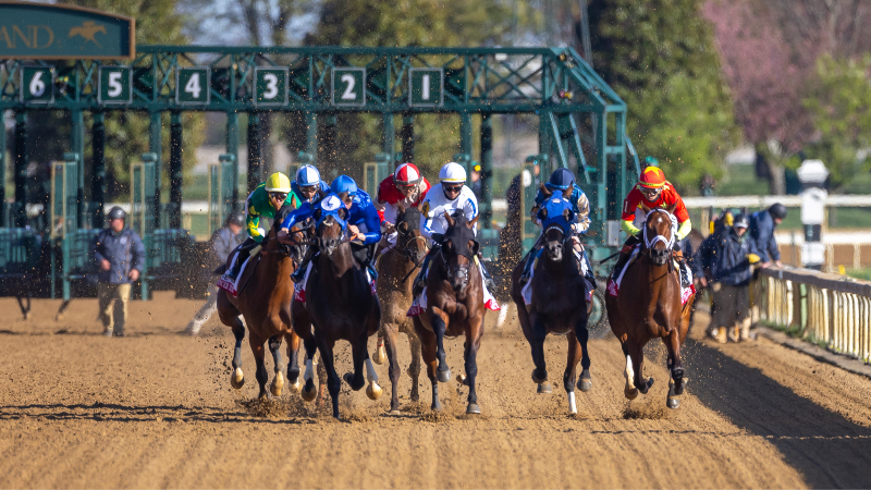 Slideshow: Blue Grass Stakes day at Keeneland