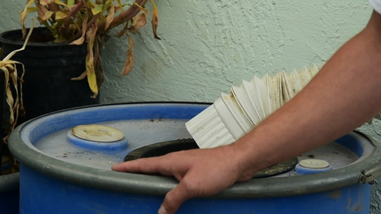 Water-saving tips for landscaping
