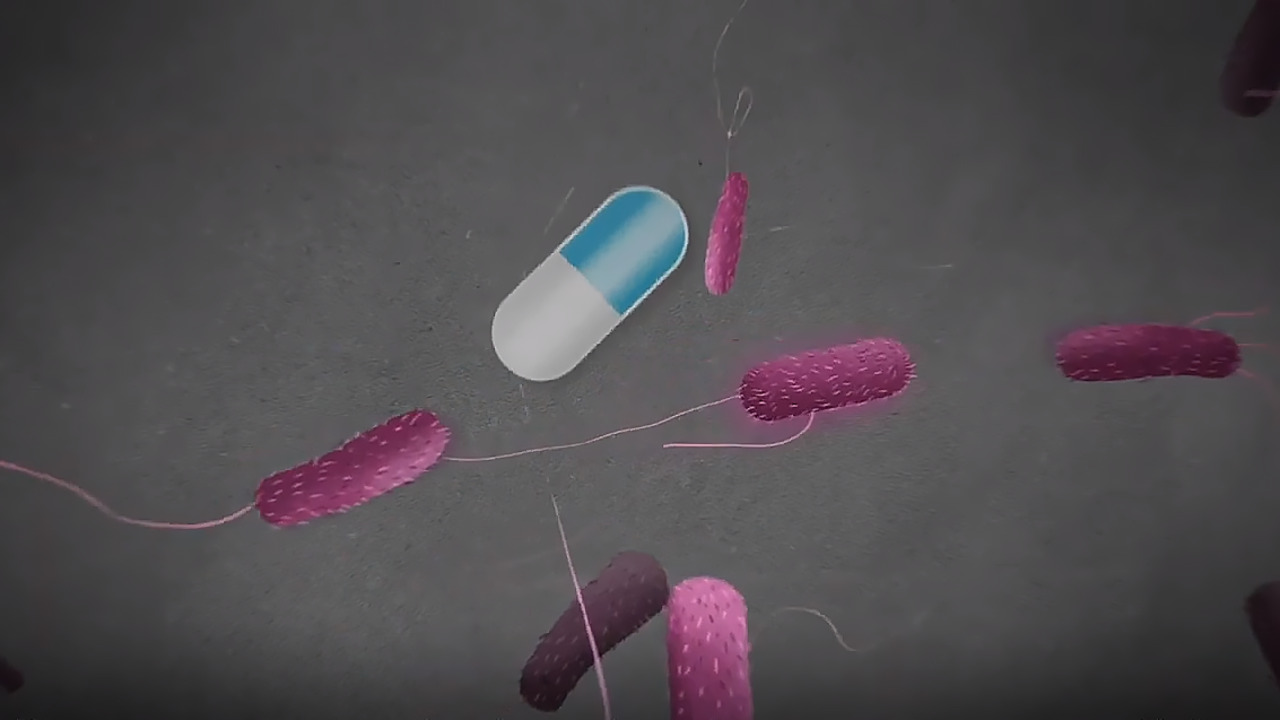 Protecting humans and animals from antibiotic resistance
