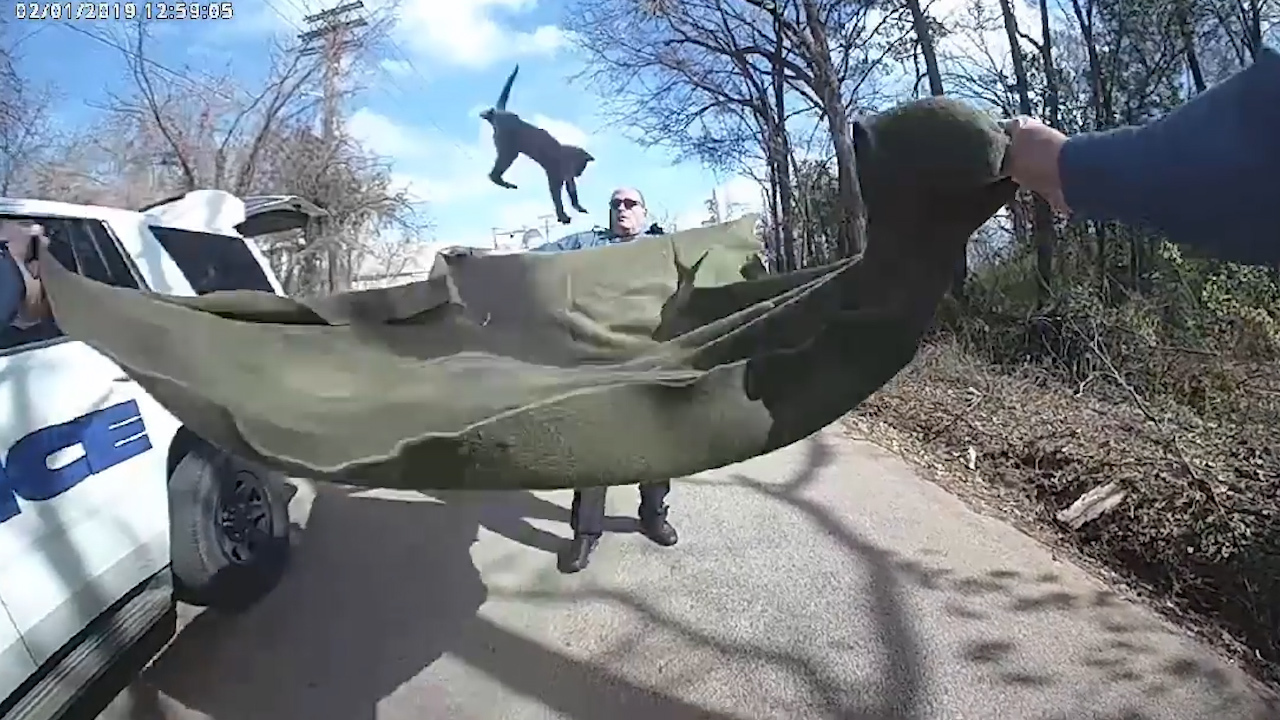 Texas officers show ‘there’s more than one way to catch a cat’