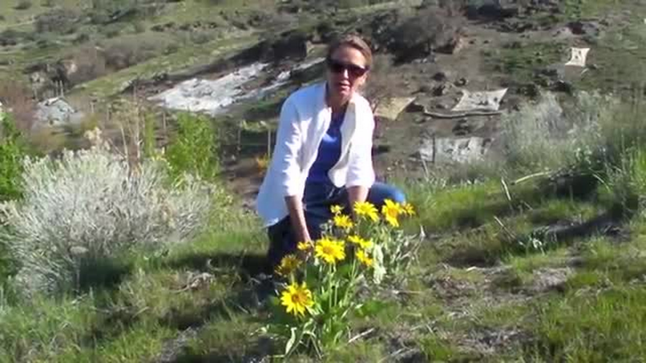 A walk in the Idaho Botanical Garden