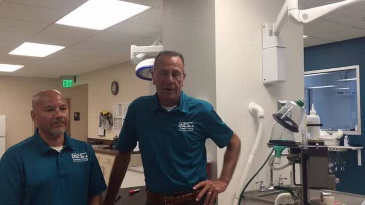 Humane Society of Manatee County offers free pet vaccines Saturday  