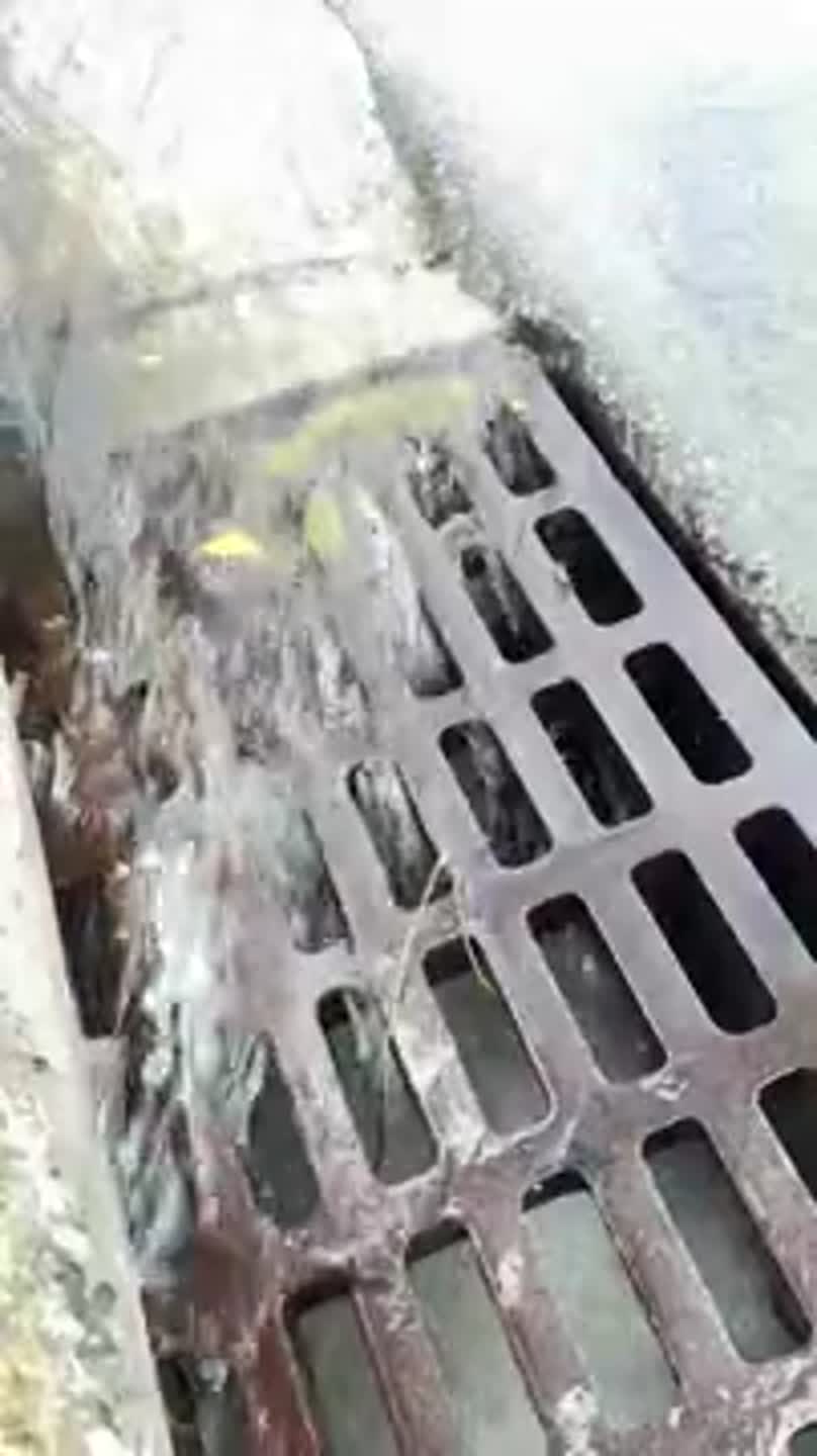Miami Beach streets flooded during king tide