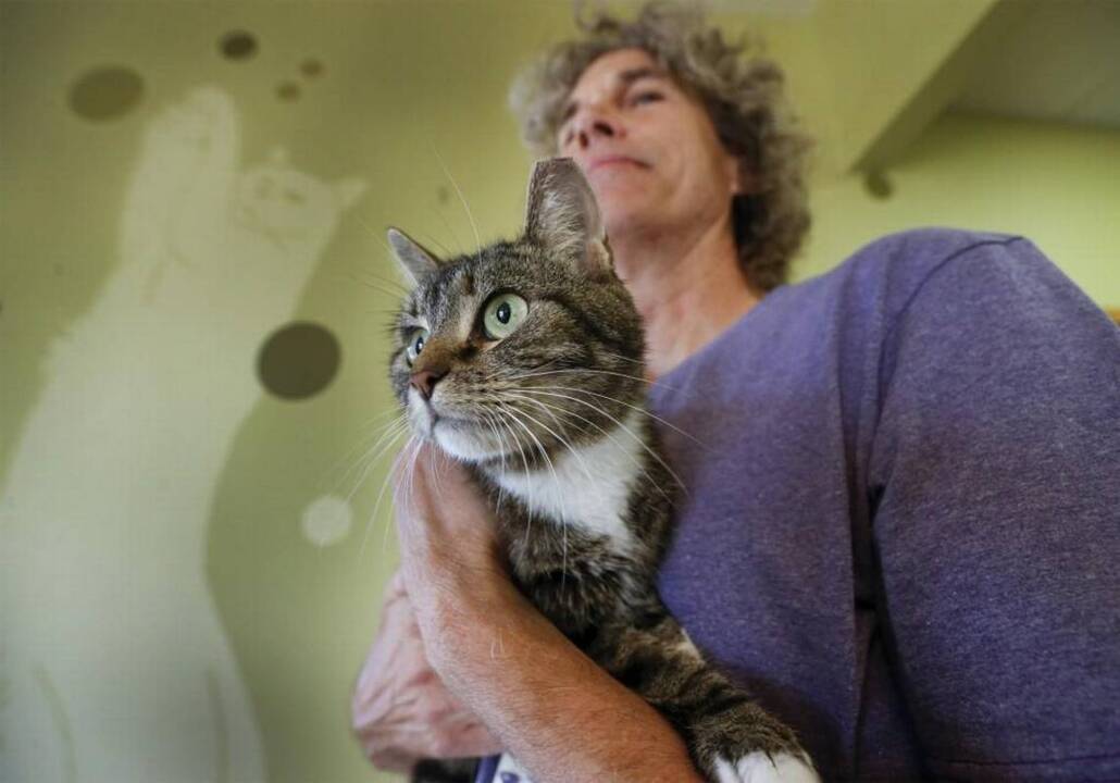 Cat lover happy to reunite Florida family with their cat