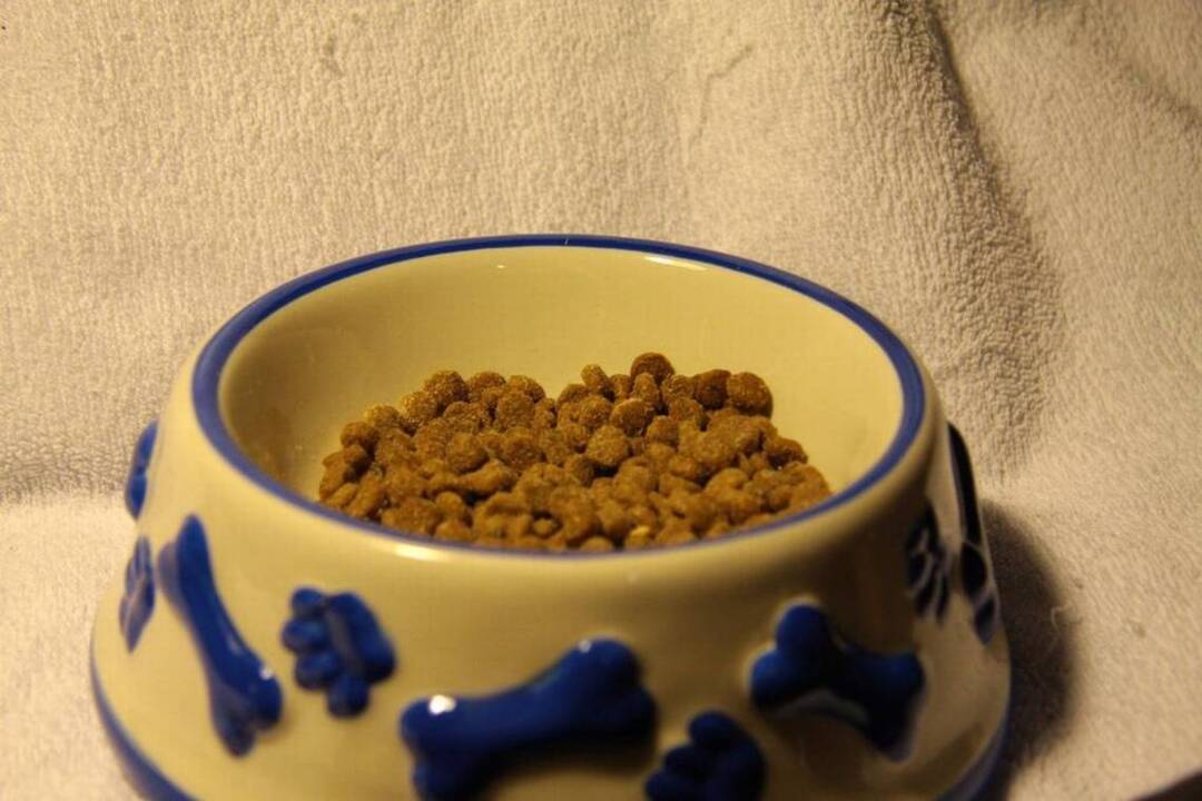 What to do if you think you have a recalled product