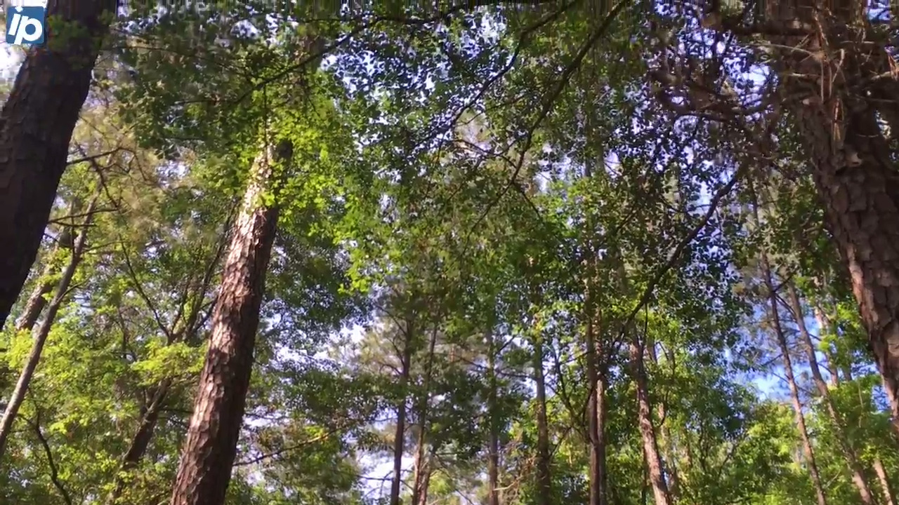 This SC park has an 110,000-acre lake and more than 10-miles of hiking (and Wi-Fi)