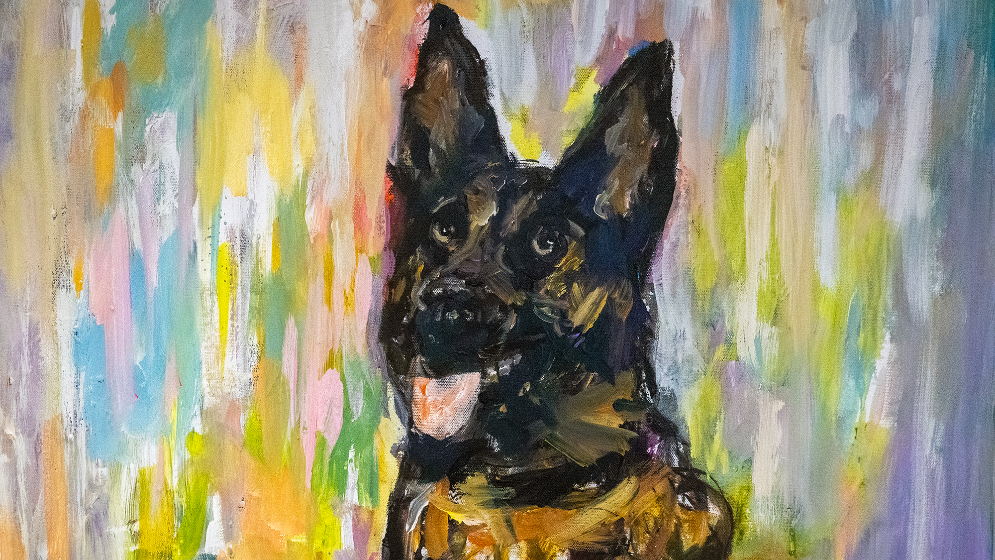 'Havoc is part of my family.' K9 Havoc's handler gives update on condition