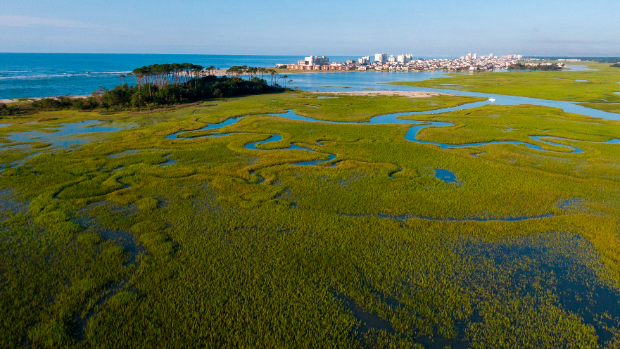 Waties Island may offer public access in future. Here's what is planned