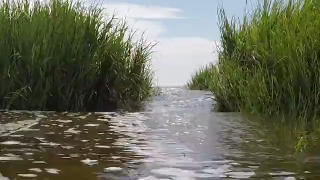 Contaminated floodwater swirls with risk for serious infection