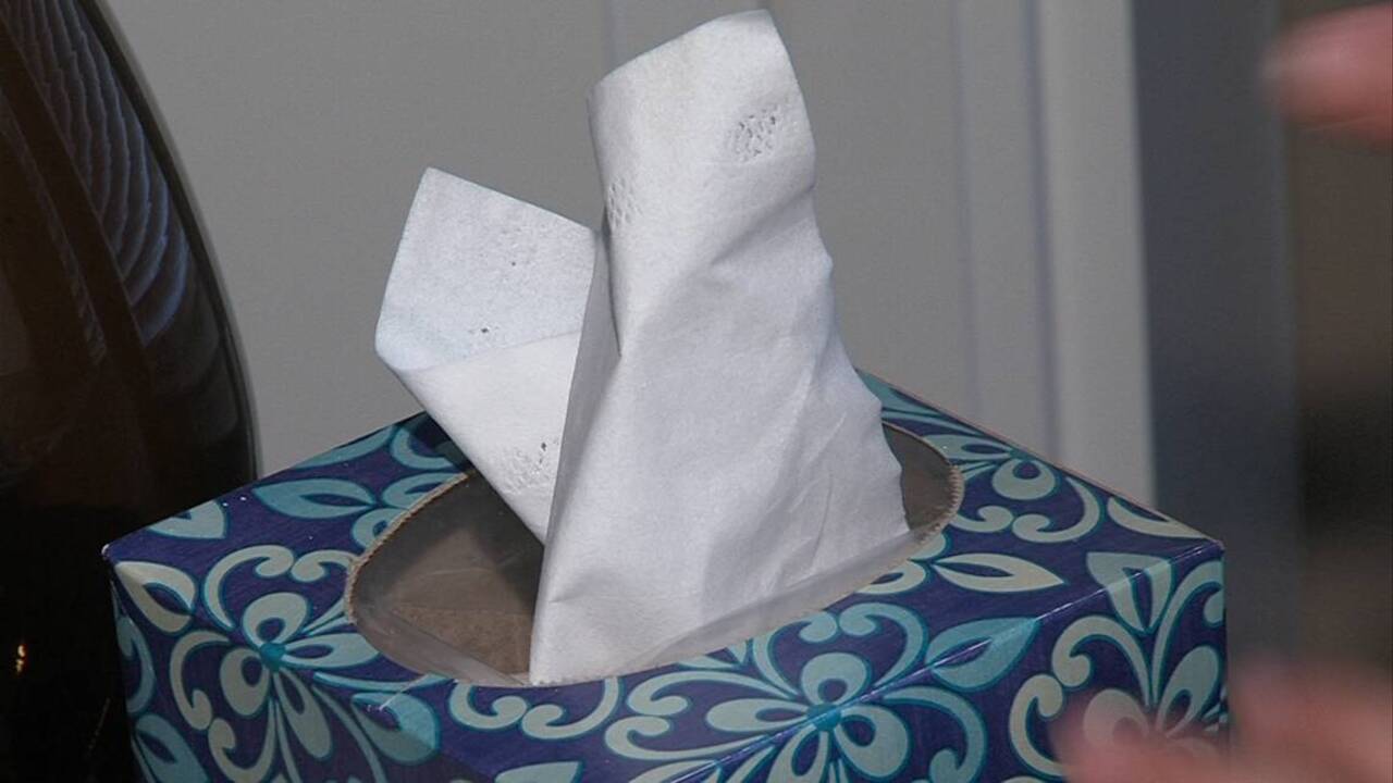 Here's how to help your kids fight fall allergies