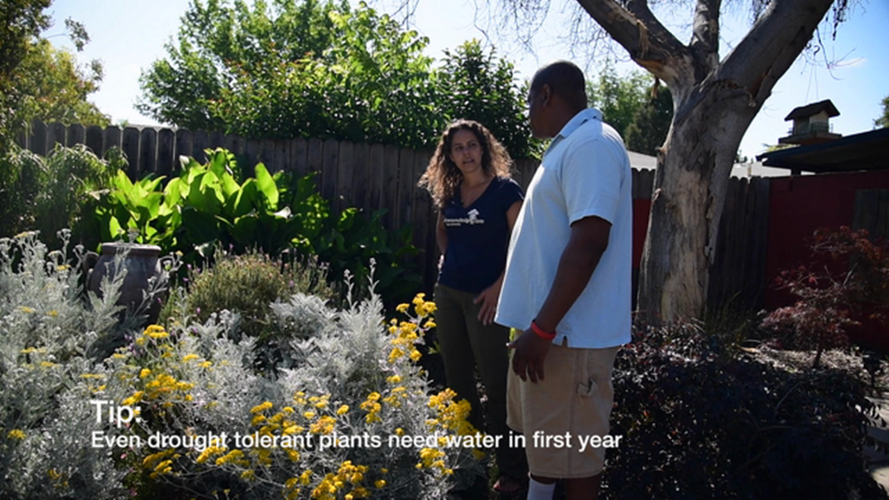 Ways to water your garden like a pro during Western Washington’s annual summer drought