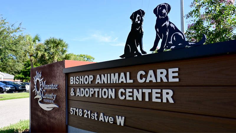 Manatee's Bishop Animal Shelter expansion draws criticism (Video)