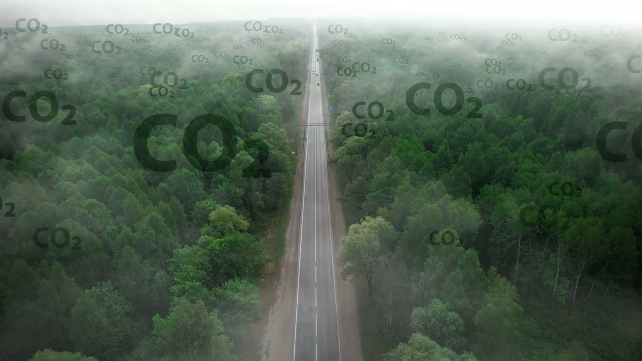 What is carbon sequestration?