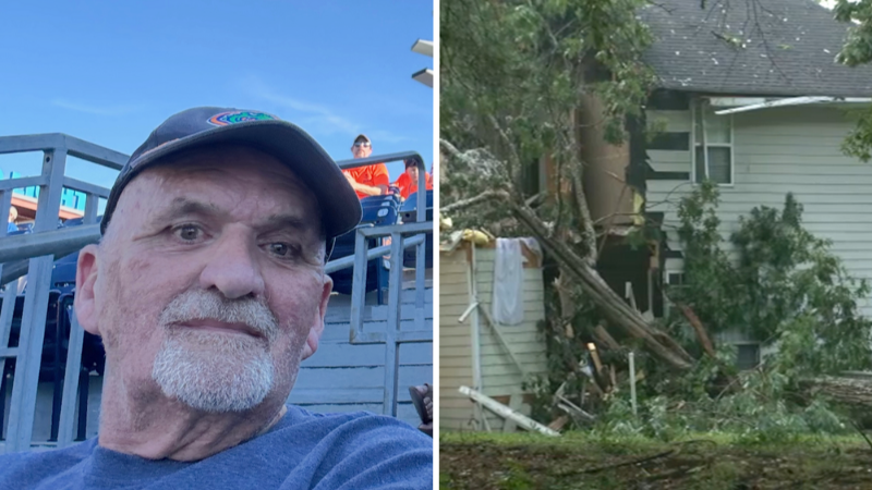 Man killed when tree falls on house in Wake County