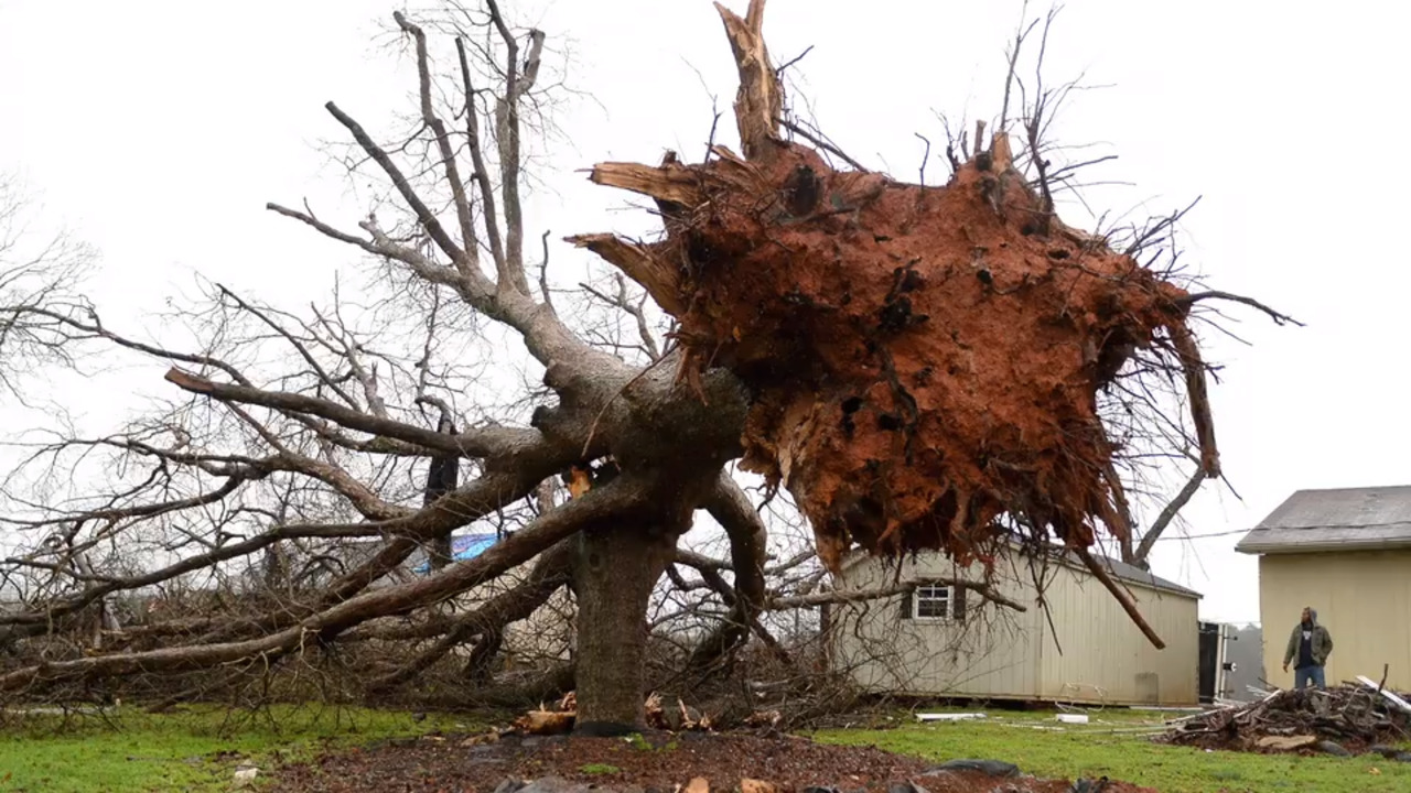 Videos, photos capture damage from storms in the Carolinas | Charlotte ...
