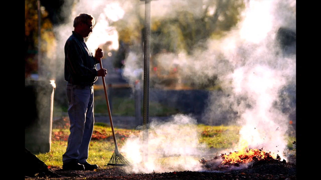 Burning leaves is a great way to get revenge on your neighbors