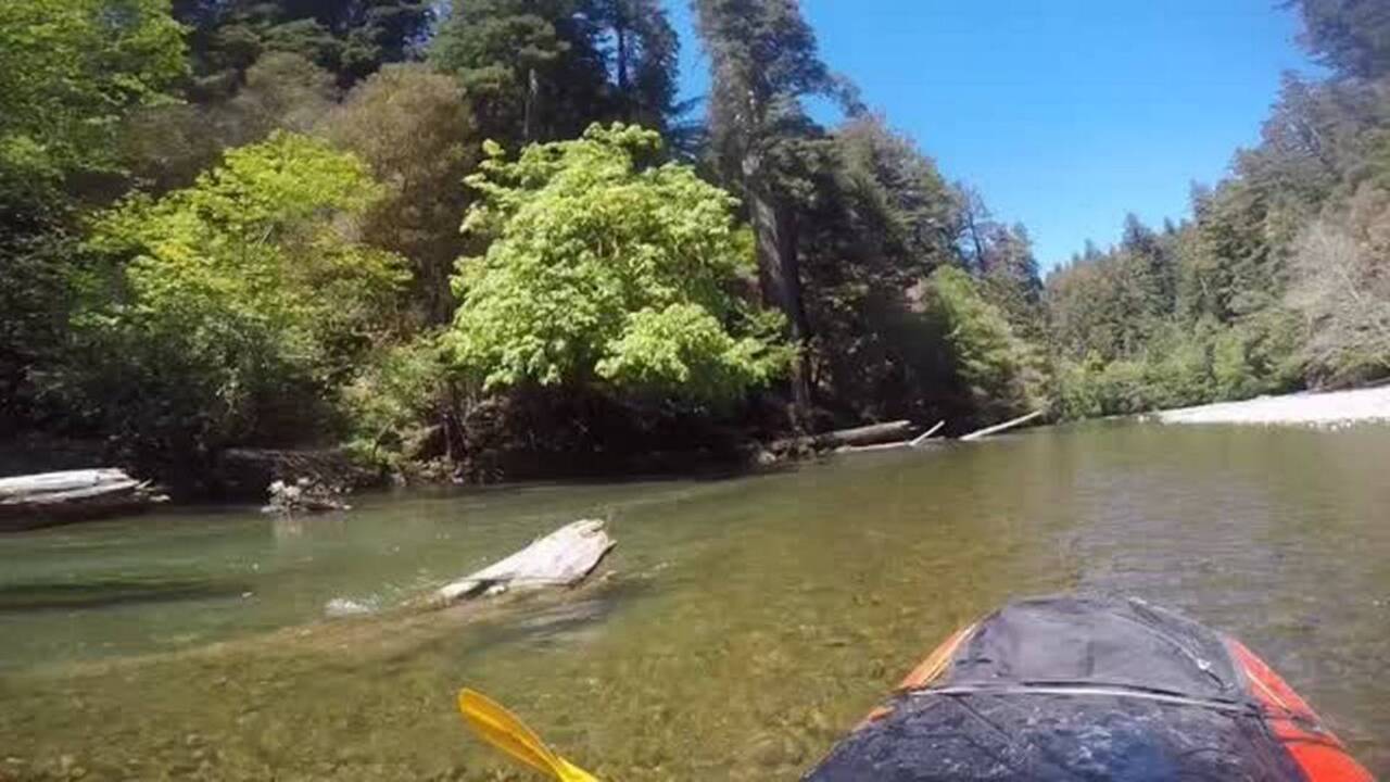 Rushing waters, giant trees provide plenty of reward along Redwood Creek