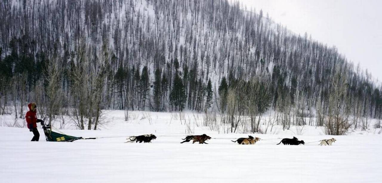 Idaho’s Julia Larsen explains her love of sled-dog racing