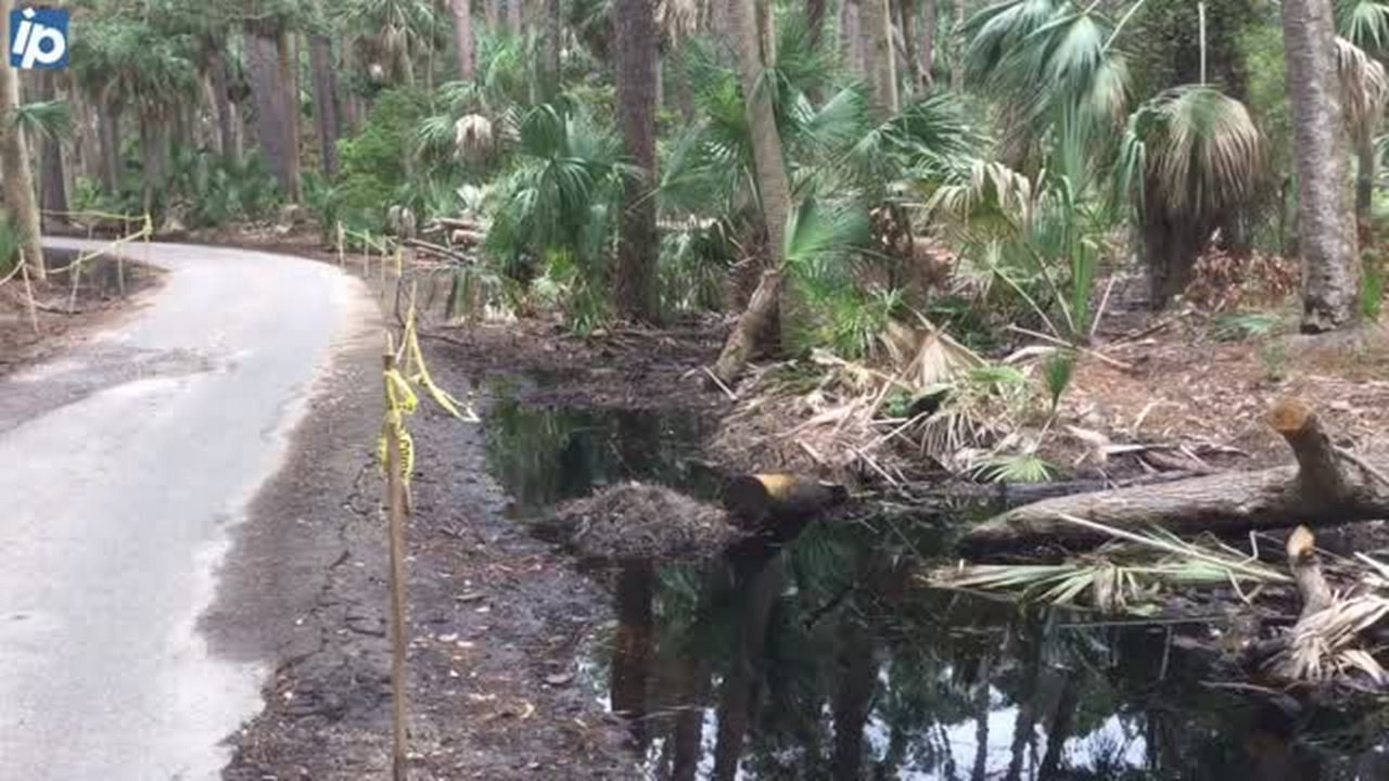 Will the Hunting Island campground open on schedule? Here is the latest