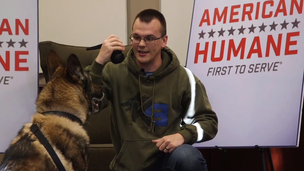 Military dog is reunited with Mountain Home handler