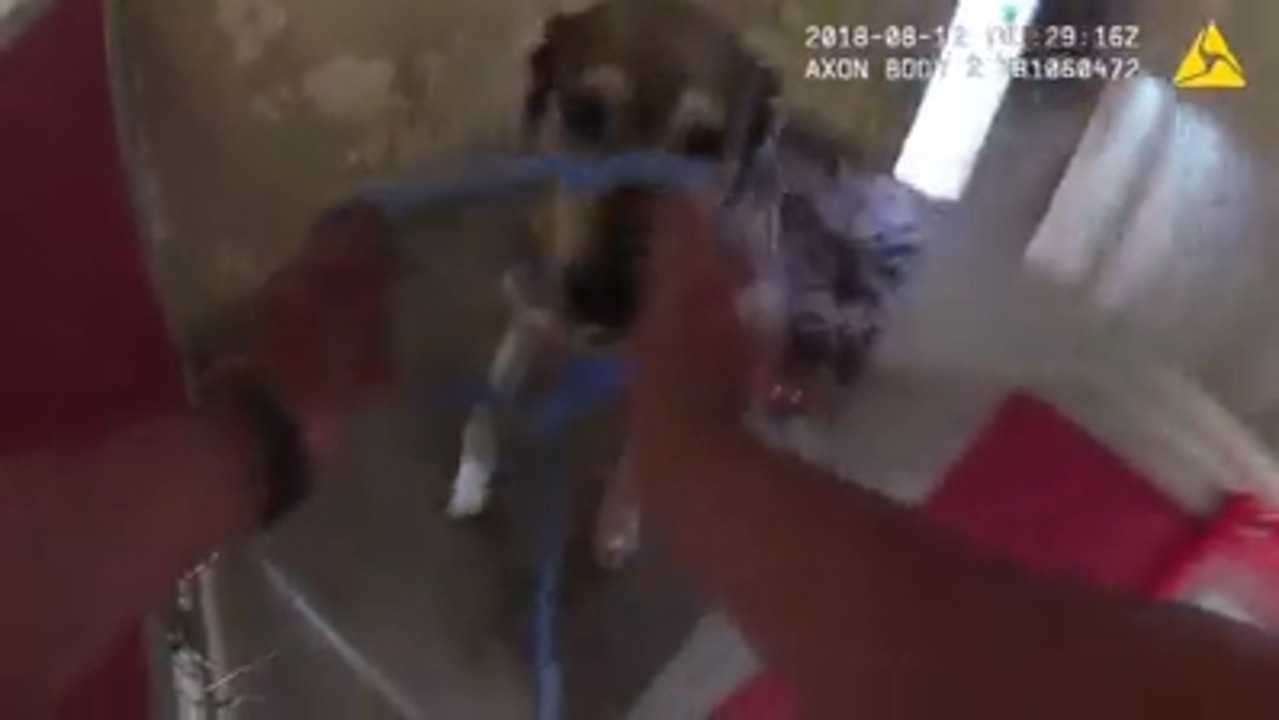 CA wildfires | Video shows police evacuate animals from SPCA | Sacramento  Bee