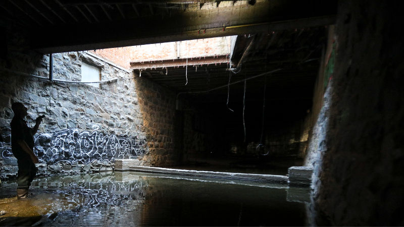 Creek health improving as pigeon barriers in tunnel installed