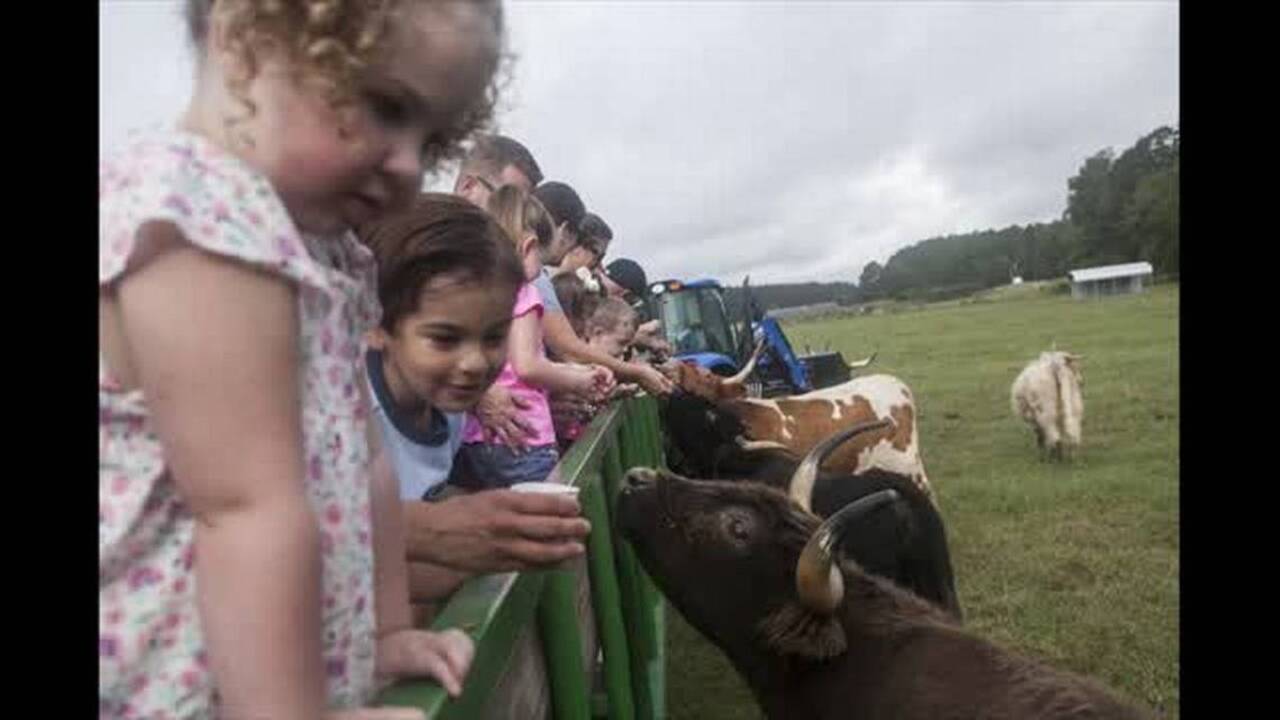 Get ready for the Fall season with Thompson Farm's very own corn maze